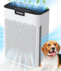 Read more about the article Best Home Air Filter Systems for Clean Indoor Air