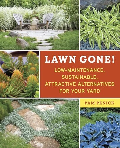You are currently viewing Best Lawn Alternatives for a Low-Maintenance Landscape