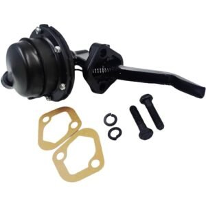 Read more about the article Best Mechanical Fuel Pumps for 351 Windsor Engines