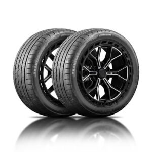 Read more about the article Best Mud and Snow Tires for All-Weather Performance