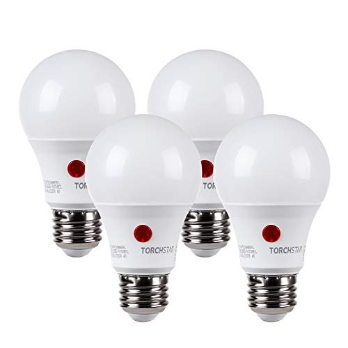 You are currently viewing 10 Best Outdoor Light Bulbs Tested for 2025
