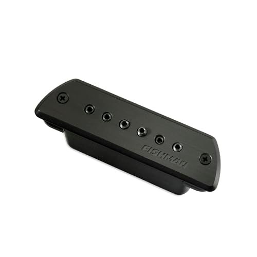 You are currently viewing Best Passive Pickups for Metal Guitarists