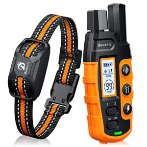 Read more about the article Best Remote Control Shock Collars for Dogs