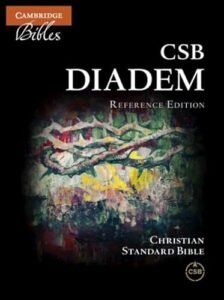 Read more about the article Tested: 7 Best Rust Skins Worth Buying in 2025