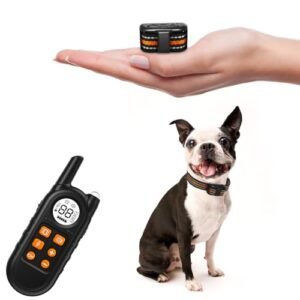 Read more about the article 7 Best Shock Collars for Small Dogs Reviewed in 2025