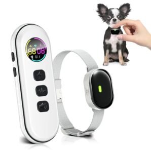 Read more about the article Best Shock Collars for Small Dogs – 5 Options Reviewed