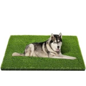 Read more about the article Best Synthetic Grass Options for Dogs 7 Reviewed in 2025