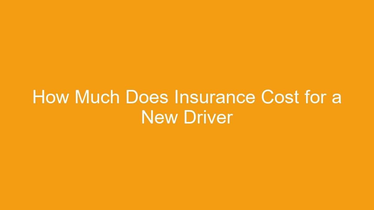 You are currently viewing How Much Does Insurance Cost for a New Driver