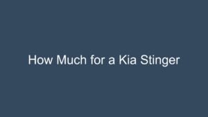Read more about the article How Much for a Kia Stinger