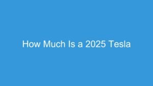 Read more about the article How Much Is a 2025 Tesla