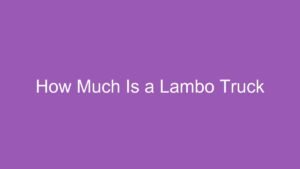 Read more about the article How Much Is a Lambo Truck