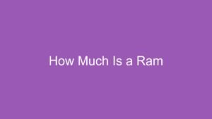 Read more about the article How Much Is a Ram