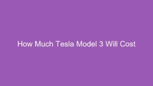 Read more about the article How Much Tesla Model 3 Will Cost