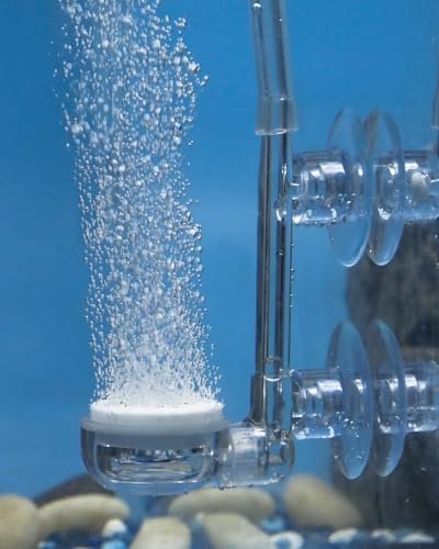 Pawfly Aquarium Air Stone Disc, 0.9 Inch Tiny Fish Tank...