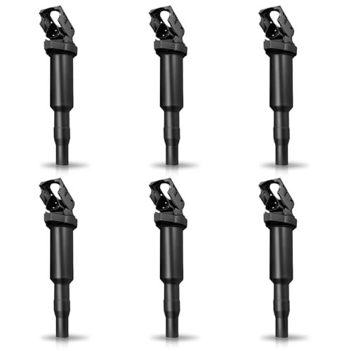 ENA Set of 6 Ignition Coil Pack Compatible with BMW...
