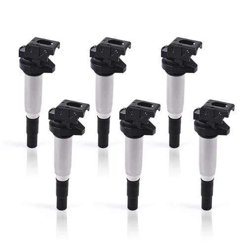 GOCPB UF667 Ignition Coil Pack Set of 6 for 2001-2017...