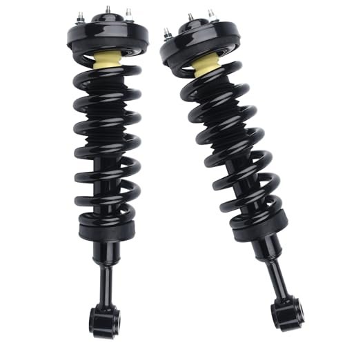PAROD 171361 Front Shock Absorbers Struts w/Coil Spring...