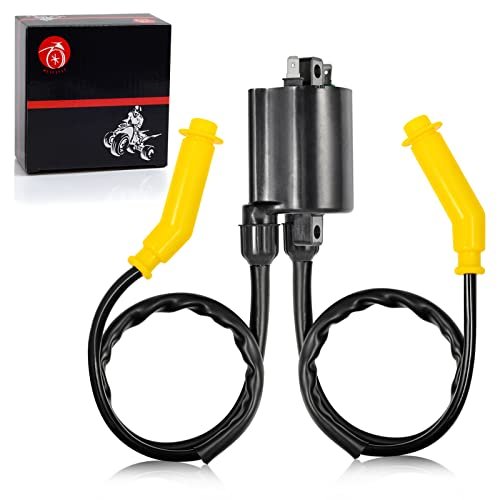 Ignition Coil & Spark Plug Wire Cap Compatible with HONDA...