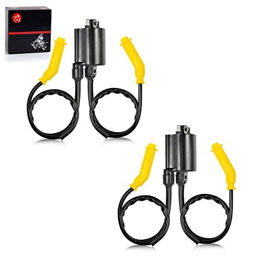 Ignition Coil & Spark Plug Wire Cap Compatible With HONDA...