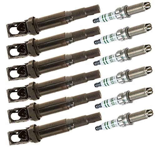 6 x ELDOR Ignition Coils + BOSCH Spark Plugs +...