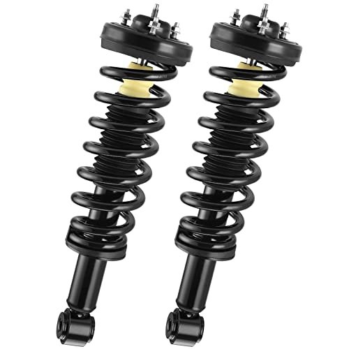 AUTOSAVER88 Front Pair Complete Quick Struts Compatible...