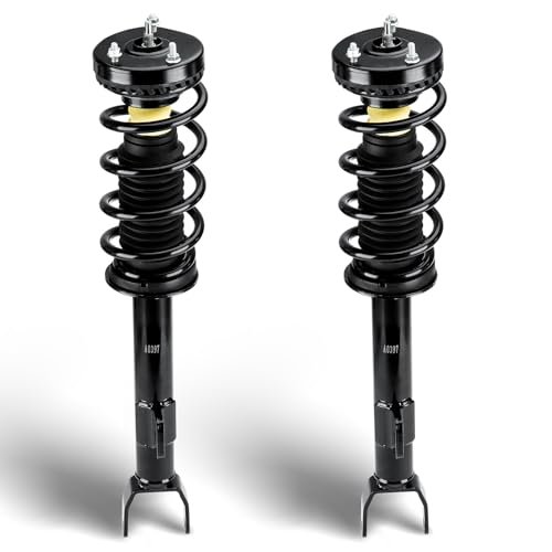 Front Struts Assembly Shock Absorber Fit for Dodge Charger...