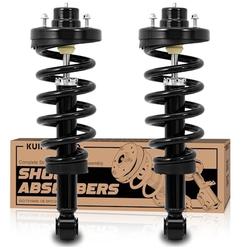 KUIPERAUTO Pair Rear Struts Shocks Complete Assembly...