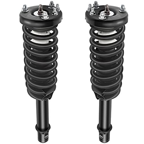 Complete shock and Struts Fits for 2003 2004 2005 2006...
