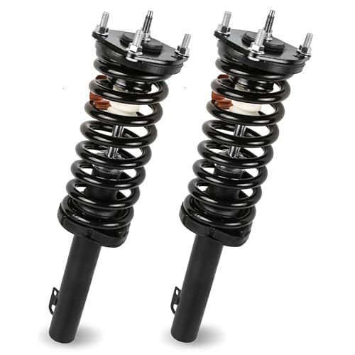 EVERESTWAY Front Complete Strut Assembly 171377L 171377R...