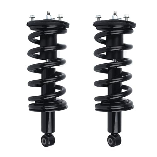 Autoround Front Pair Complete Struts with Coil Spring...