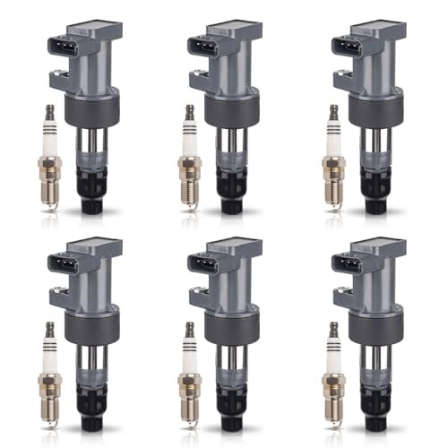 ENA Set of 6 Ignition Coil Pack with 6 Platinum...