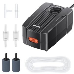 Read more about the article Best Air Pump for 10 Gallon Tank