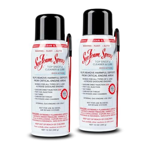 Engine Intake Valve Cleaner Spray – GDI Safe | Cleans...