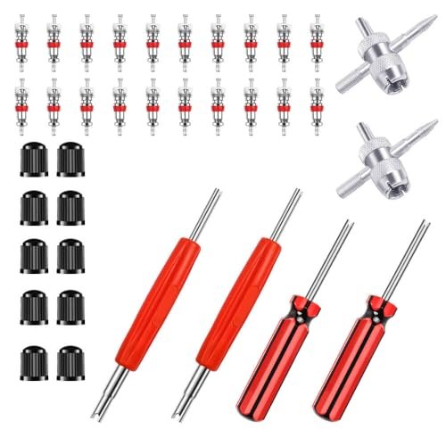 Riseuvo 6Pcs Tire Valve Stem Removal Tool - Single and...