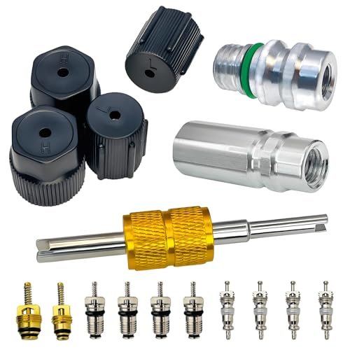 Air Conditioning Valve Core Kit | Cap & Valve AC...