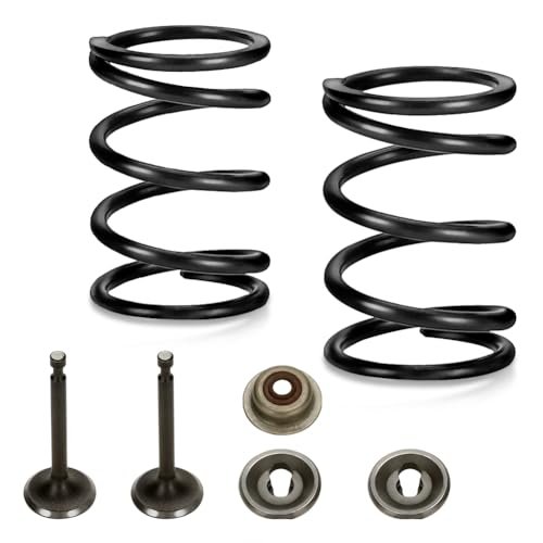 FVRITO Racing 22lb Valve Springs Retainer and Lock for...