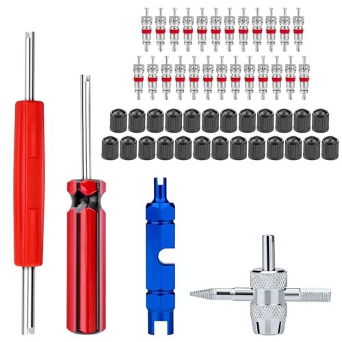 SOKOSEY 56Pcs Valve Stem Removal Tool, Valve Cores, 4-Way...